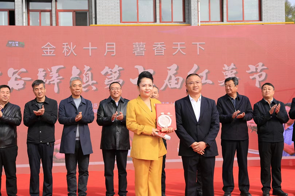 <b>金秋十月，红薯飘香！延安市宝塔区甘谷驿镇第七届红薯节来啦    </b>
