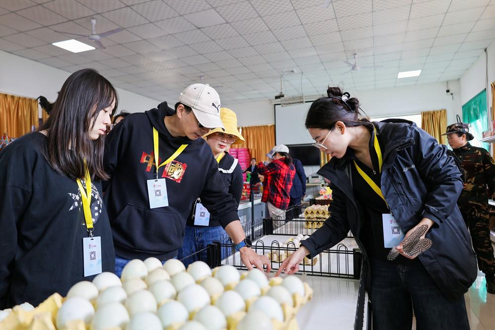 <b>大荔新茂天地源生态农场：“生态种养+文化旅游+电商实体销售”绘就新蓝图</b>
