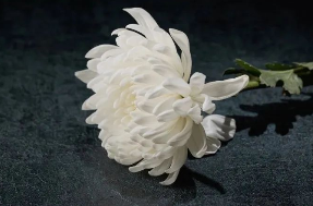 <b>李克强同志遗体11月2日火化 天安门等地将下半旗志哀</b>