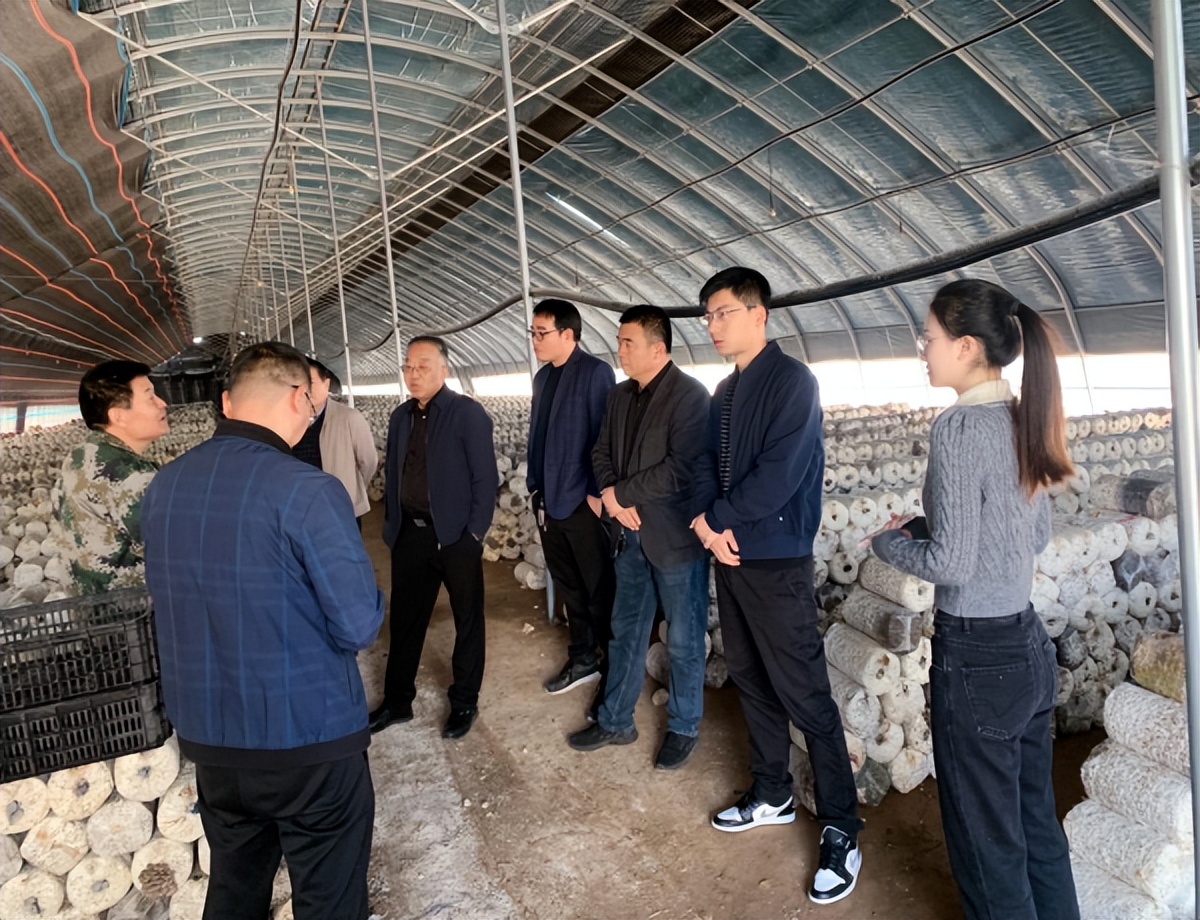<b>渭南市合阳县王村镇深化校地合作 共谋乡村振兴</b>