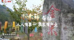 <b>村里喜讯捎北京 | 小木耳带动 人人有事干家家有产业</b>
