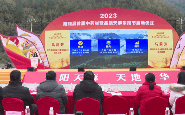 <b>汉中市略阳县举办首届中药材暨品质天麻采挖节活动</b>