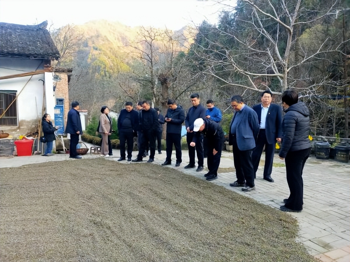 <b>陕西省林业局副局长昝林森一行在商州区北宽坪镇开展调研</b>