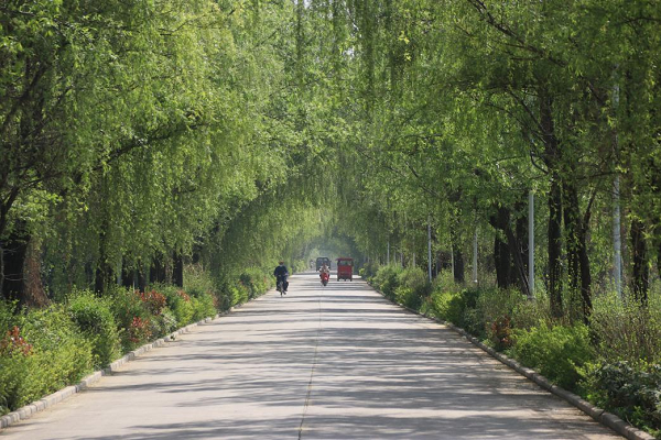 <b>花园乡村 交通串联 —— 让“诗与远方”触手可及  </b>