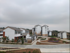 <b>宝鸡市金台区：“四聚焦”绘就乡村振兴新图景  </b>