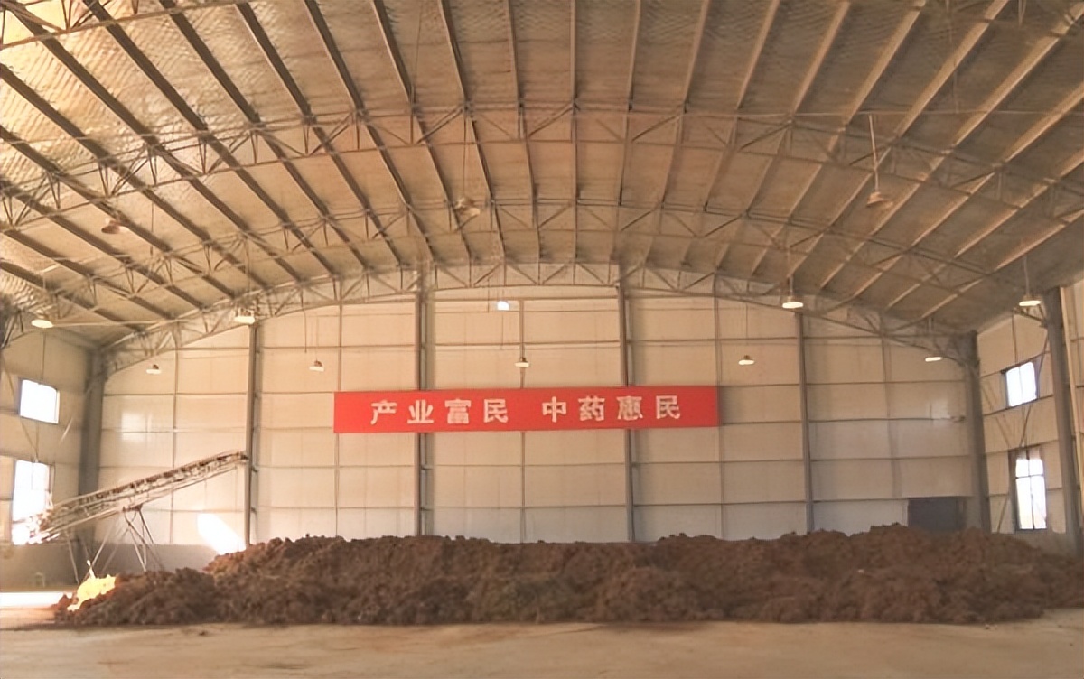 <b>铜川市耀州区石柱镇铁龙村大力发展中药材种植产业 苦药种出了甜日子</b>