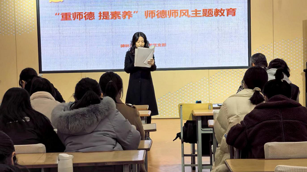 <b>西安市碑林区沙坡小学开展“重师德 提素养 师德师风主题教育”活动</b>