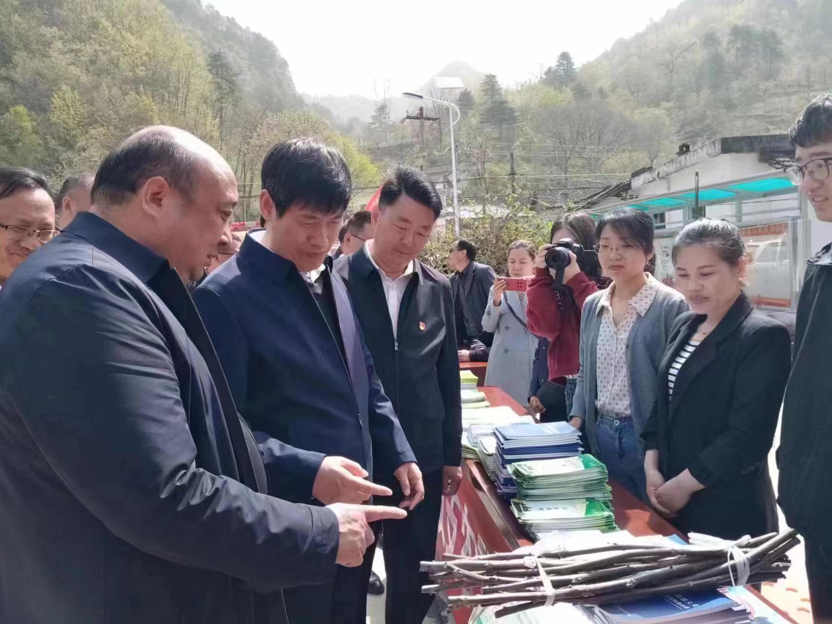 <b>商洛市商南县：激活履职新常态 服务群众“零距离”</b>