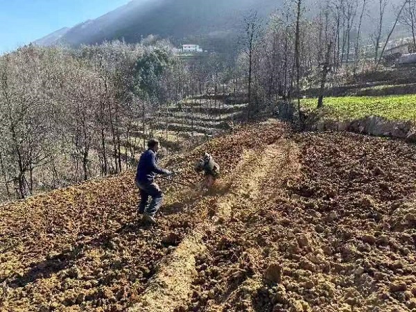 <b>商洛市镇安县：盼得来年好“丰景” “冬翻备耕”正当时    </b>