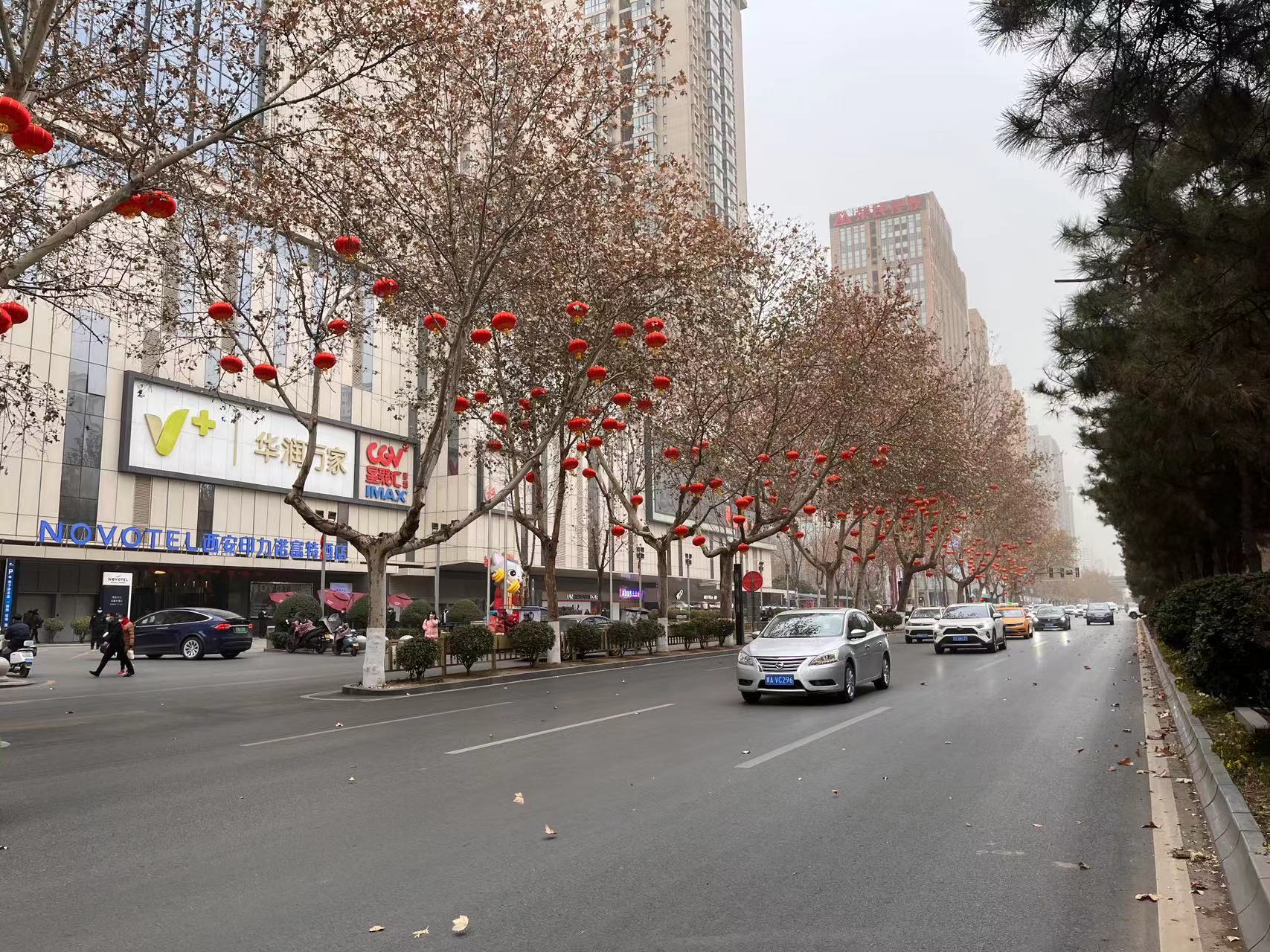 <b>气温持续偏低！陕西种植养殖需防范低温危害 专家建议→</b>