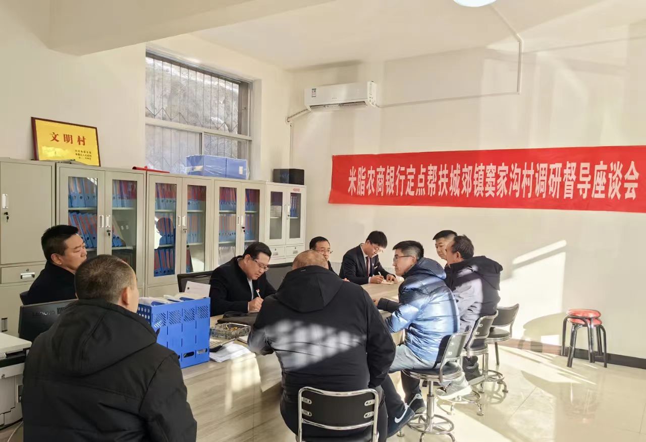 <b>米脂农商银行党委元旦前走访慰问帮扶村</b>