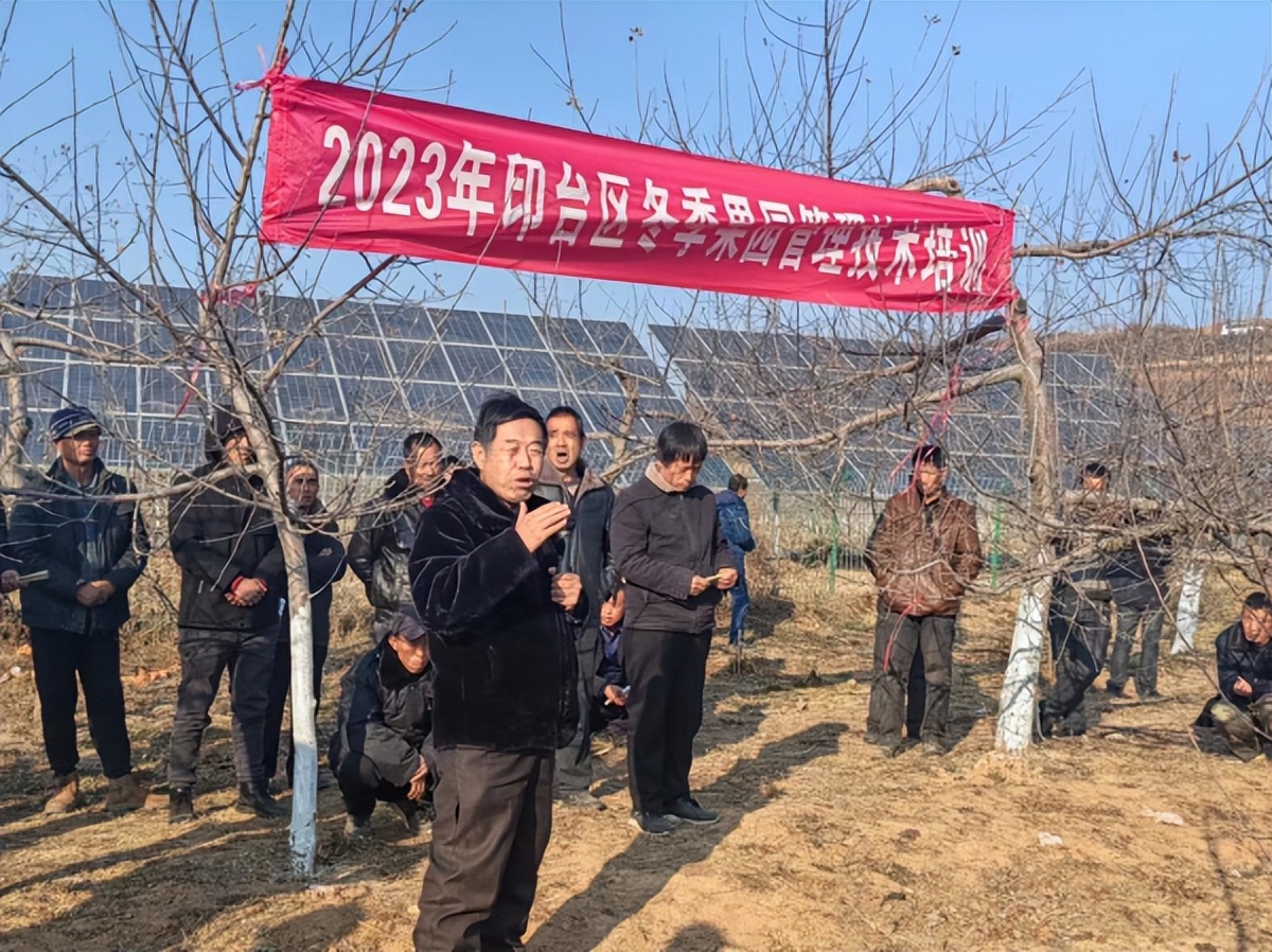 <b>铜川市印台区：教授田间“授课” 果农地头“取经”</b>