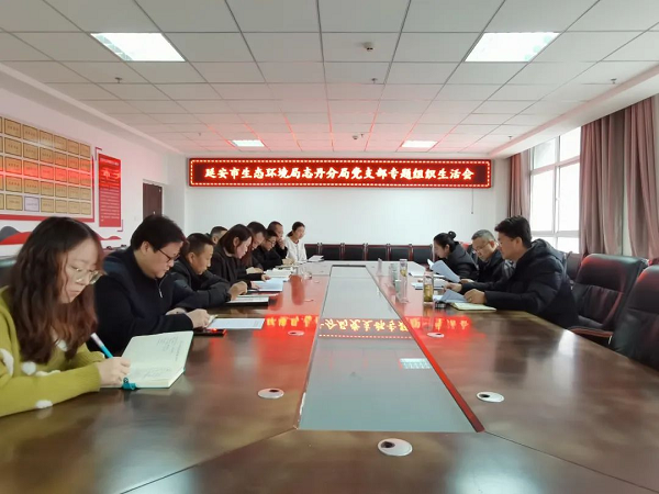 <b>延安市生态环境局志丹分局党支部召开主题教育专题组织生活会  </b>