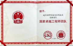 <b>西安经开区一创新团队获评“国家卓越工程师团队”</b>