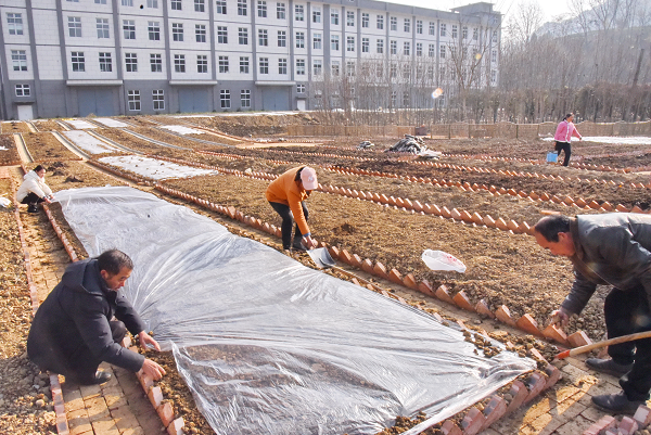 <b>汉中市宁强县大安镇金牛社区为搬迁群众建“安馨菜园”  </b>