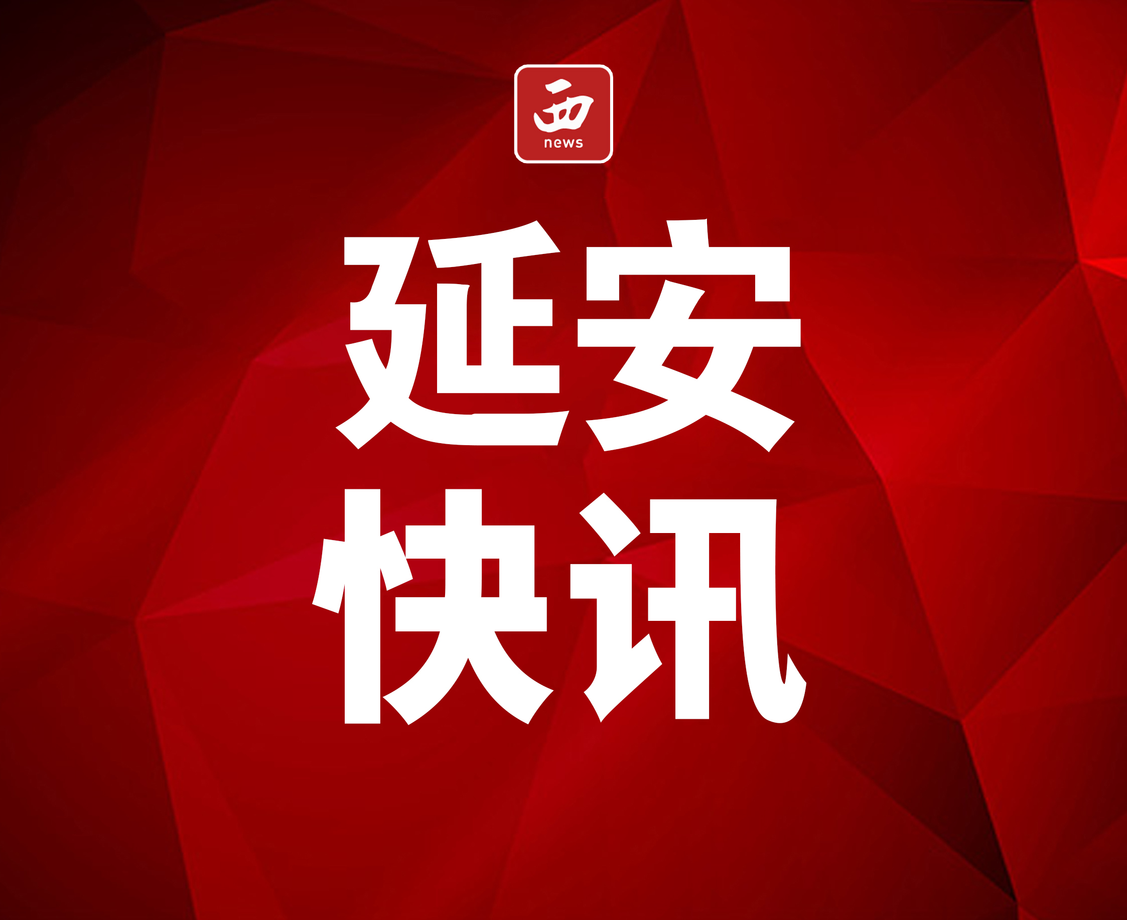 <b>延安市宝塔区蟠龙镇：党建引领营商环境优化  </b>