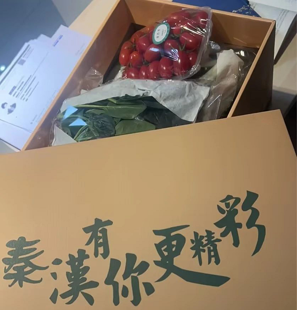 <b>秦汉新城开展人才暖心“蔬送行动”</b>