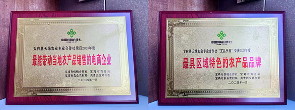 <b>太白县天绿农业专业合作社获评“最能带动当地农产品销售的电商企业”</b>