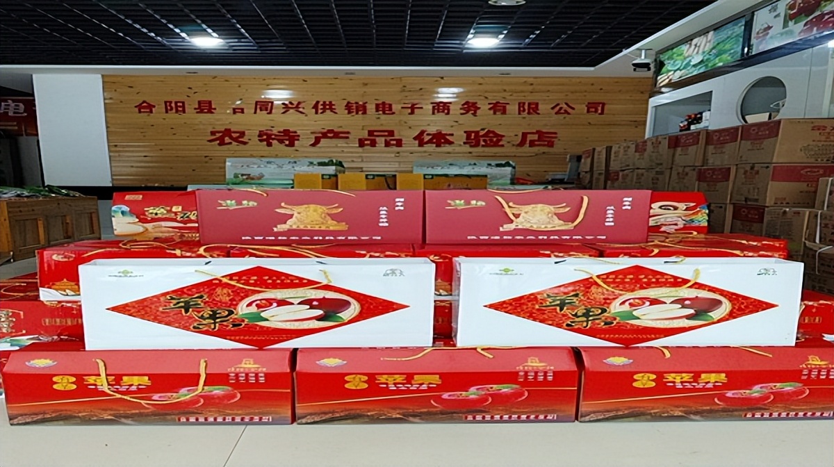 <b>渭南市合阳县供销联社年货节全面启动</b>