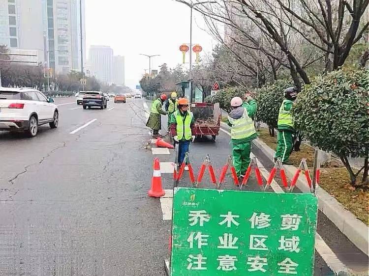 <b>绿化养护靓环境丨西安经开区开展行道树修剪工作</b>