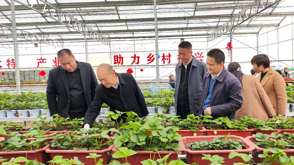 <b>眉县槐芽镇扎实开展农业技术培训 让“科技之春”助推农户丰产丰收</b>
