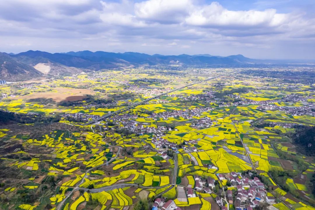 <b>平均8分钟一趟！西安往返汉中赏花，这13家景区有半价优惠！</b>