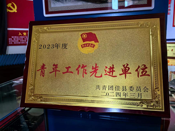<b>榆林市佳县税务局荣获“2023年度青年工作先进单位”</b>