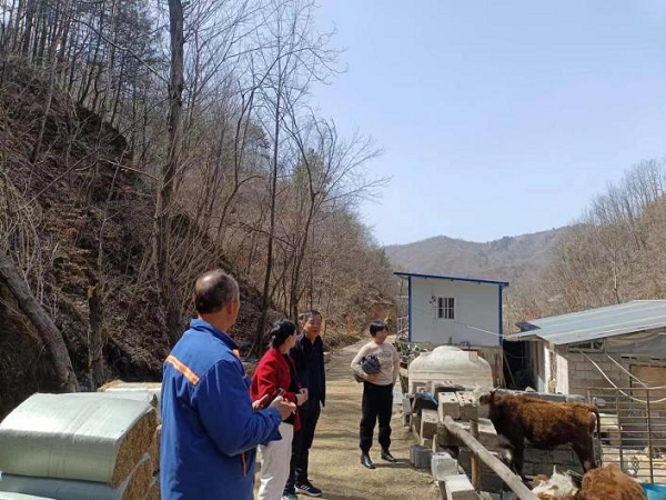 <b>商洛市柞水县开展牛羊布病无疫区创建巩固提升工作  </b>