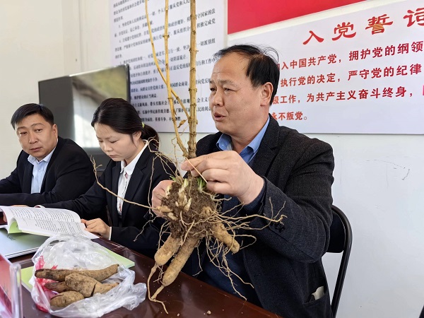 <b>深入田间地头指导！商洛市柞水县开展科技助农系列活动</b>