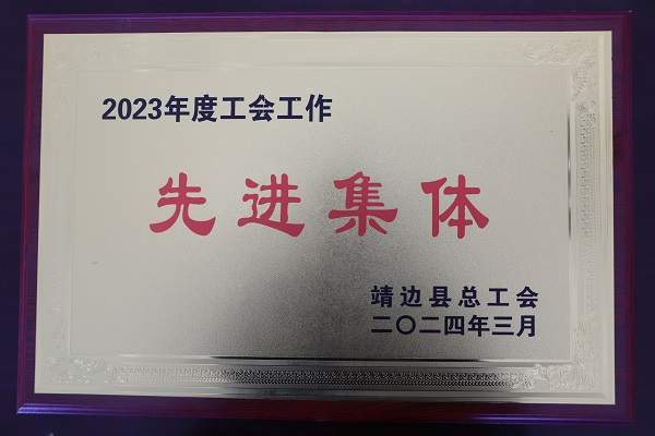 <b>喜报！国家税务总局靖边县税务局荣获靖边县2023年度工会工作先进集体</b>