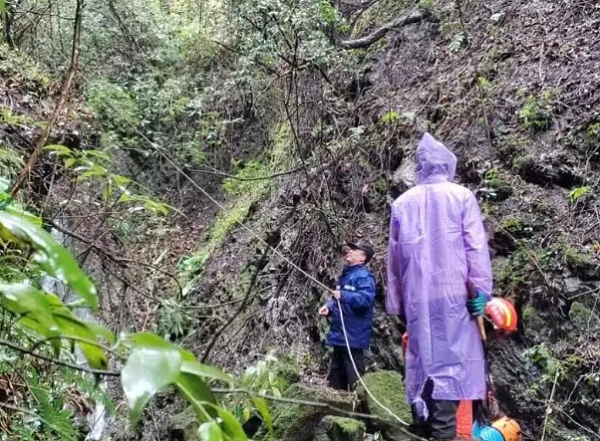 <b>汉中市宁强县一老人挖笋迷失山林 民警联合多部门紧急救援</b>