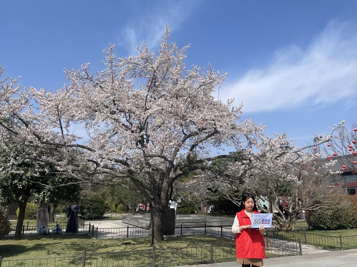 <b>春有约，花不误，陕西移动西安分公司邀您一起共享春色</b>