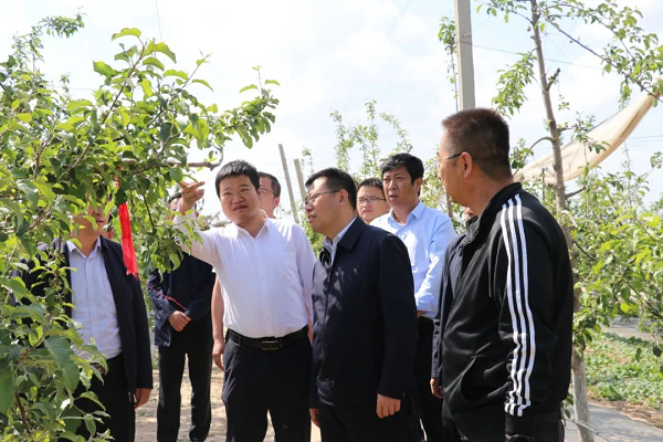 <b>延安市副市长魏延安在安塞区南沟开展调研</b>