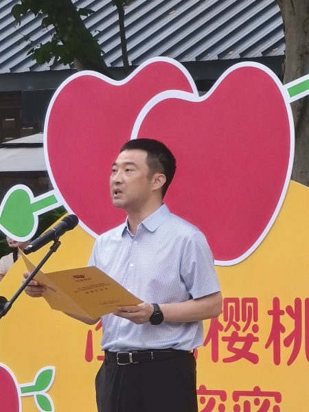 <b>官方发布！2024年澄城樱桃5月20日集中上市</b>