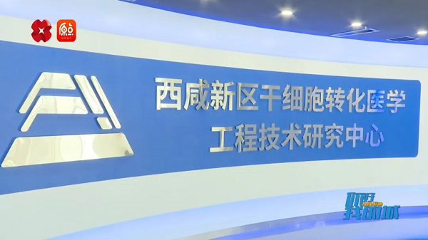 <b>治疗肿瘤 西咸新区秦汉新城这家企业实现技术突破！</b>