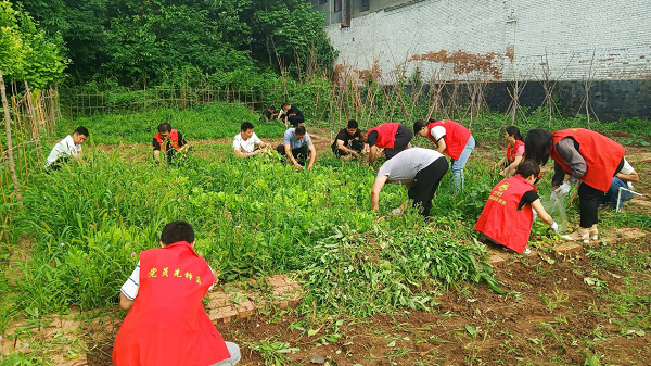 <b>宝鸡市眉县槐芽镇新时代文明实践所组织开展夏日除草志愿服务活动</b>