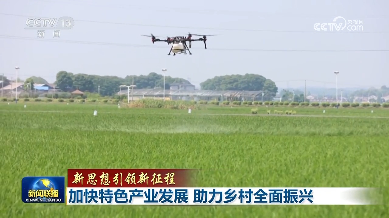 <b>【新思想引领新征程】加快特色产业发展 助力乡村全面振兴</b>