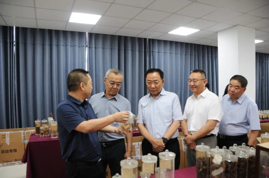 <b>冯锋督导调研西安市药品安全巩固提升行动</b>