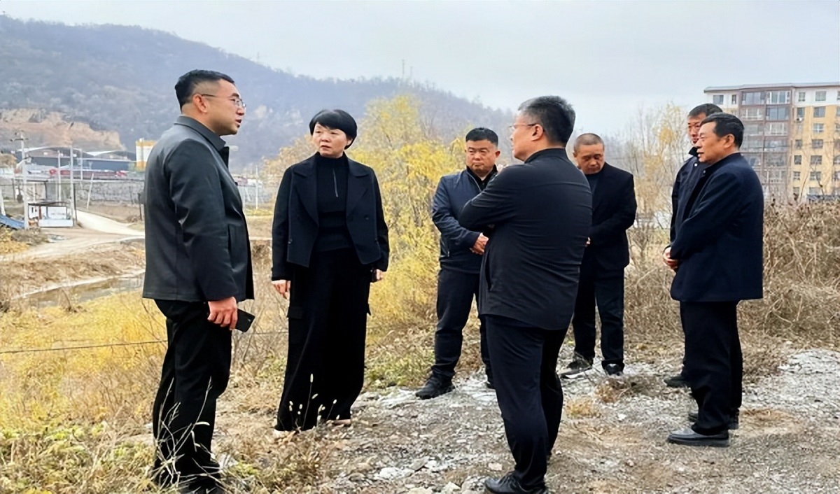 <b>延安市宝塔区人大主任常延丽检查蟠龙河并召开调度会</b>