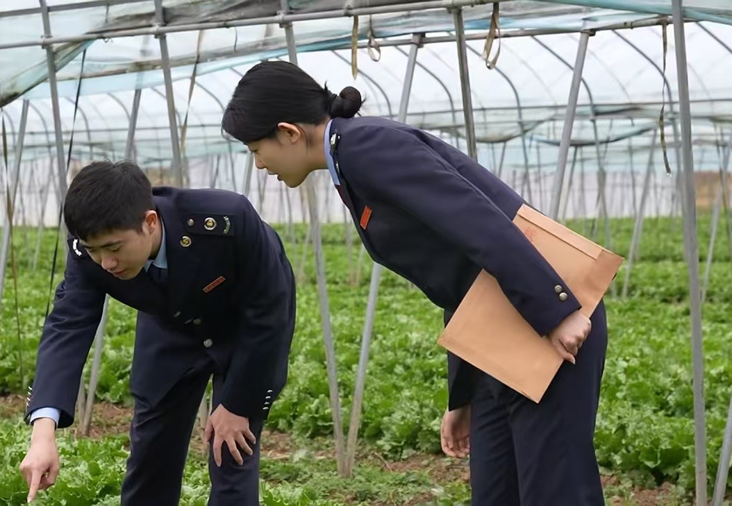 <b>陕西高山蔬菜端上港澳餐桌！税费优惠政策助力百姓增收致富</b>