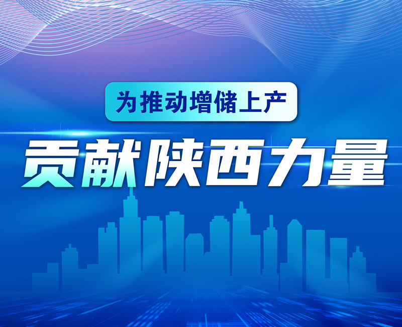 为推动增储上产贡献陕西力量