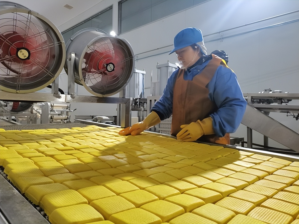 <b>渭南市白水县：小豆腐撬动大产业 集体经济焕发新活力</b>