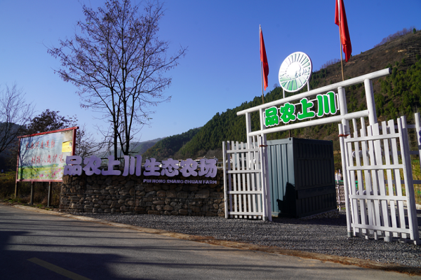 <b>宝鸡市渭滨区：推进乡村全面振兴 共绘和美乡村画卷</b>