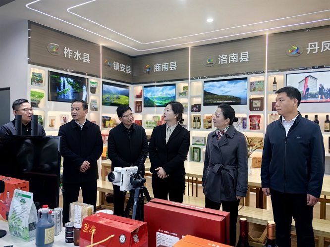 <b>商洛市电子商务平台运营中心揭牌    </b>