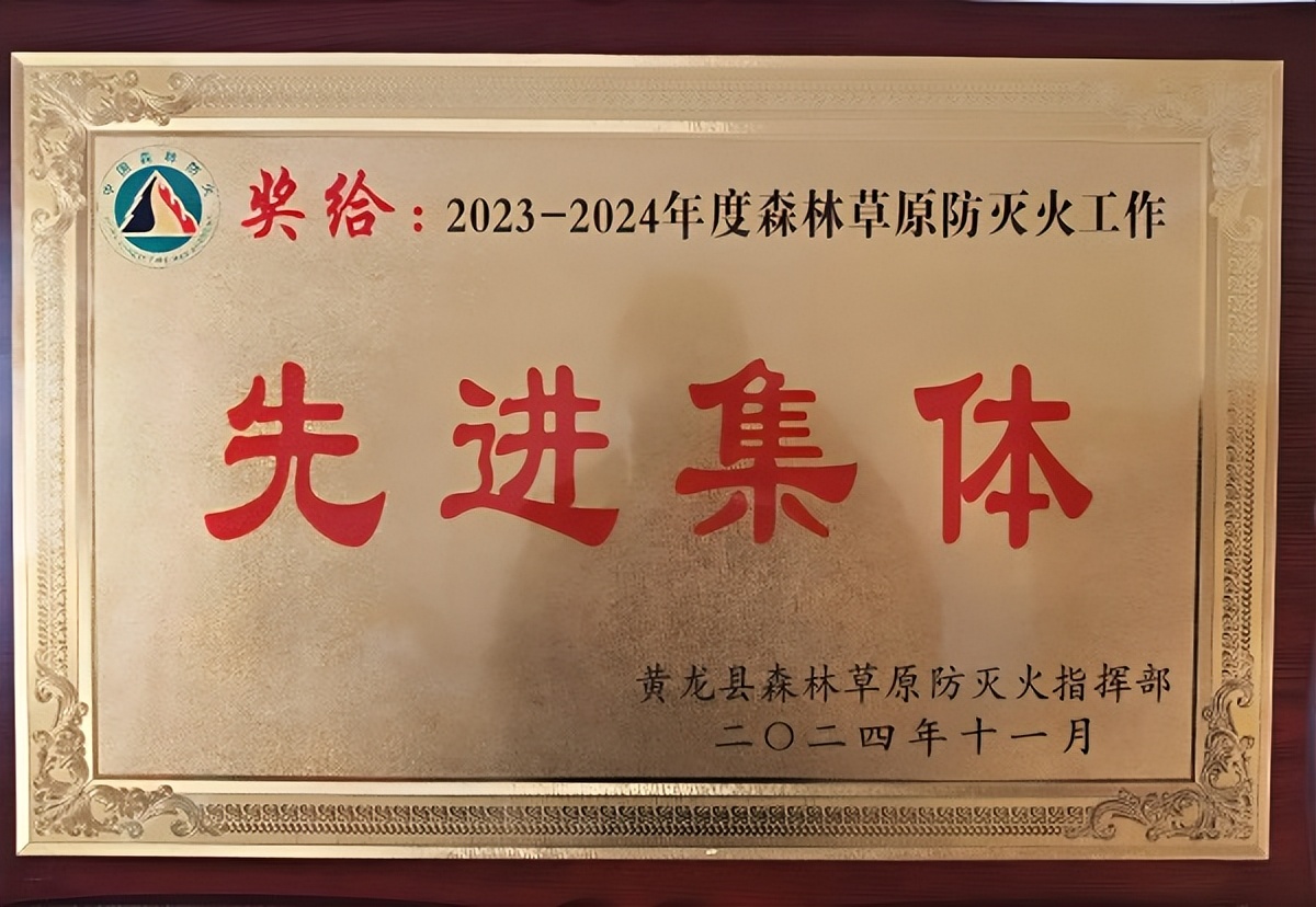 <b>陕西铁塔延安分公司黄龙办事处荣获“森林草原防灭火工作先进集体”称号</b>