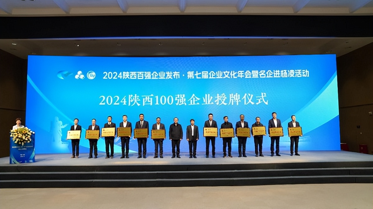 <b>西安经开区石羊集团连续13年入围陕西百强企业</b>