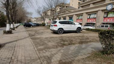 <b>灞桥区一街道旁草坪“被迫”成停车场！市民呼吁应加强管理</b>