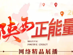 <b>2024陕西正能量网络精品展播丨正能量专题专栏：乡党带你“桥”</b>