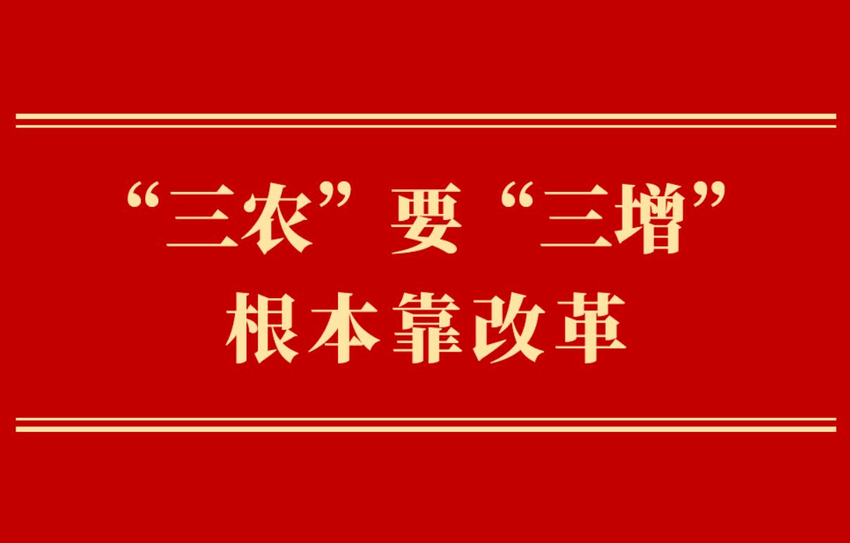 <b>第一观察｜“三农”要“三增” 根本靠改革</b>