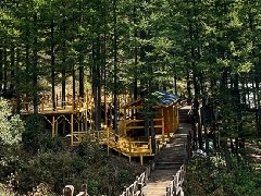 <b>牢牢守住生态“底色”，河北石家庄市发布湿地与自然保护地中长期规划</b>